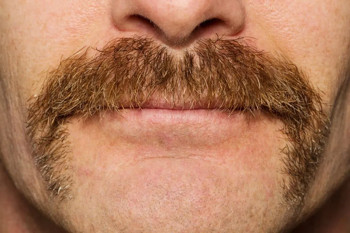 Mustache styles 2024