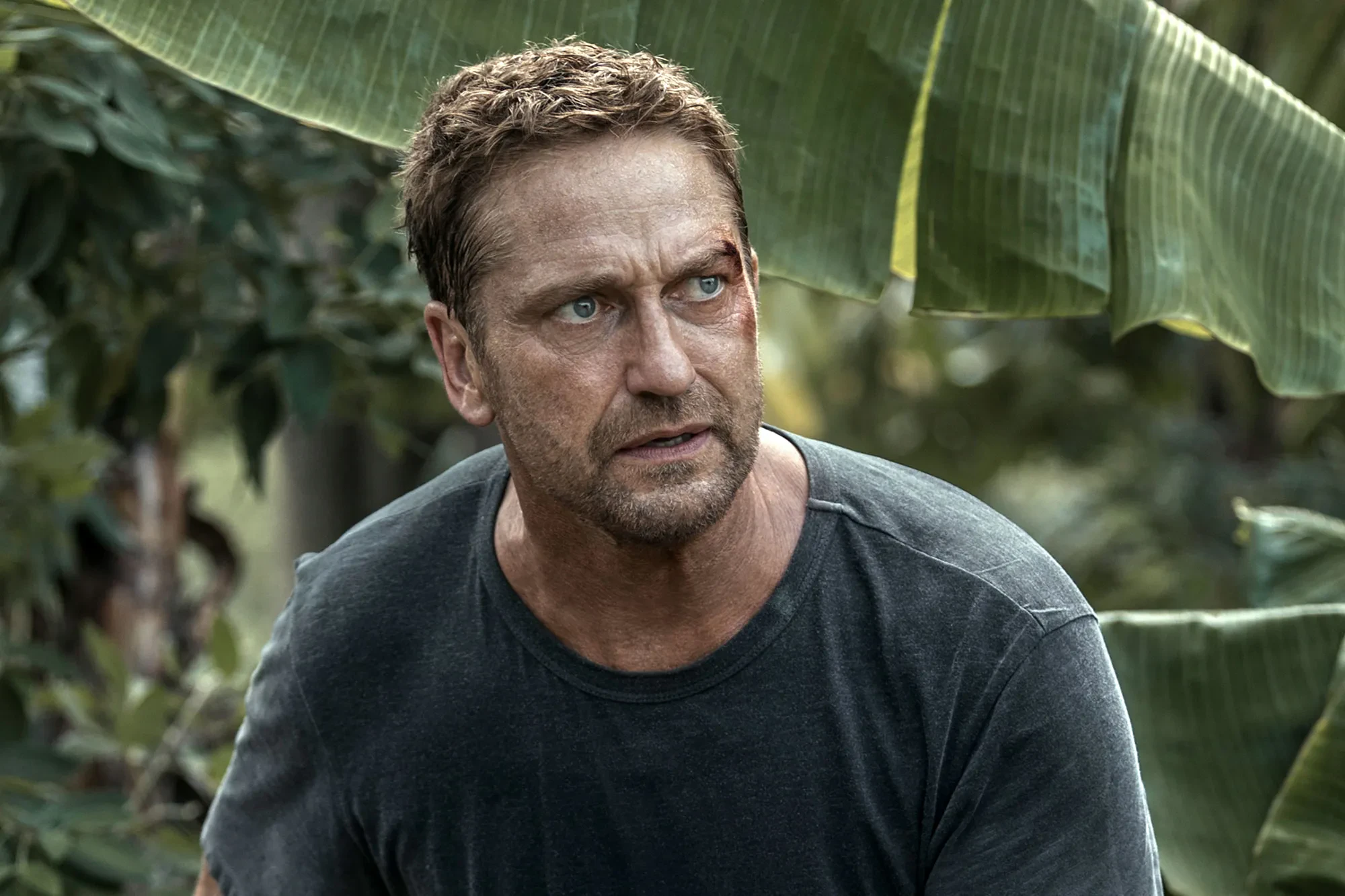 Gerard Butler Full Beard 2024