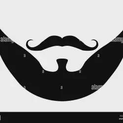 img/1317_finding-your-perfect-beard-style-a-dudes-guide.webp