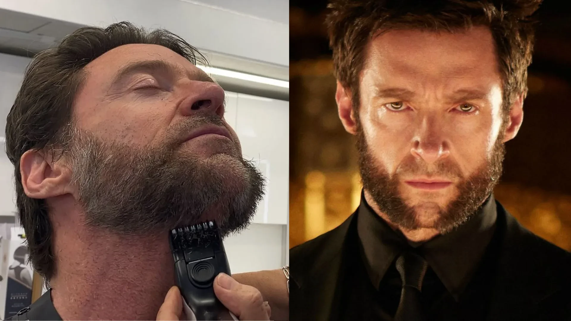 img/1325_grow-a-wolverine-beard-like-a-boss.webp