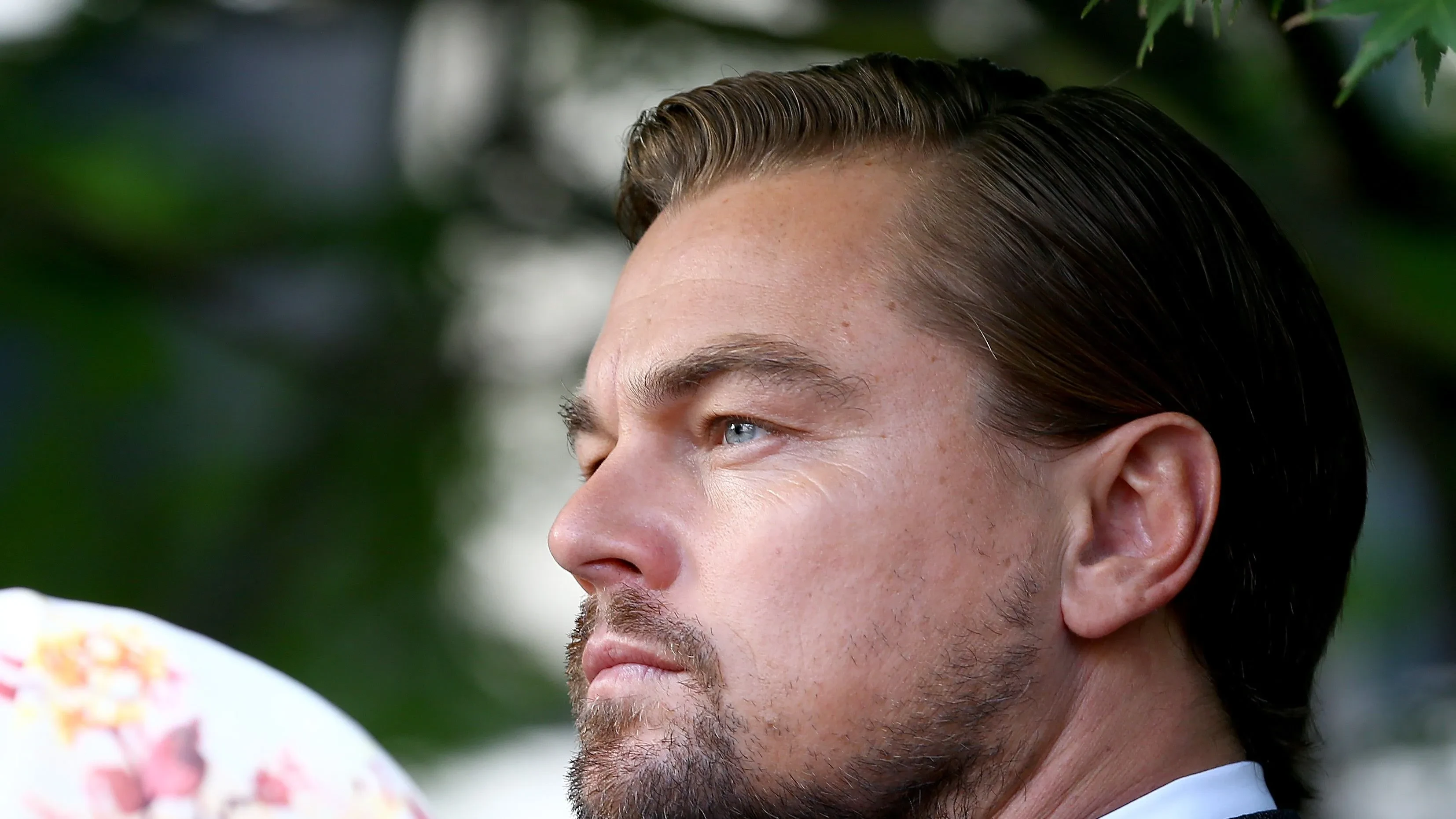 Leo DiCaprio long beard 2024
